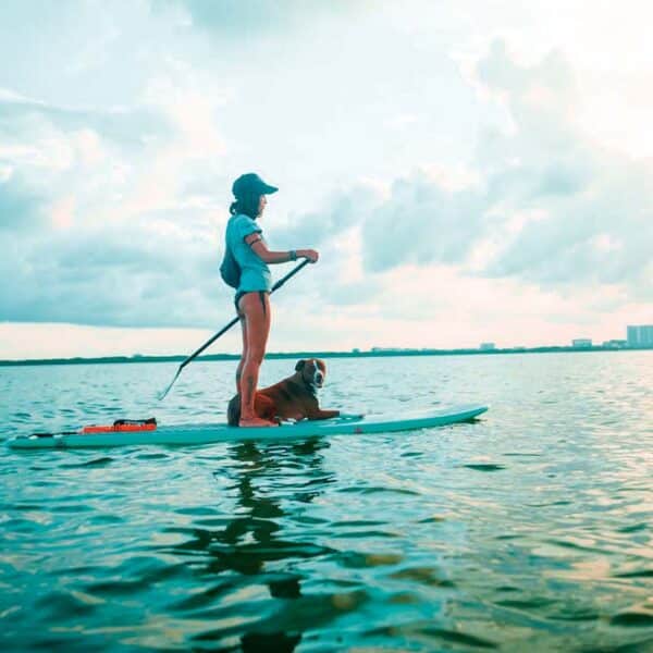 Pet friendly Kayak - paddle board