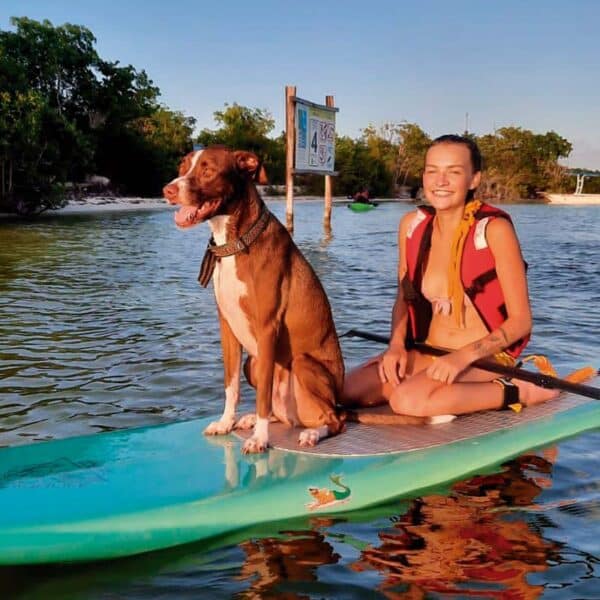 Pet friendly Kayak - paddle board - Image 8