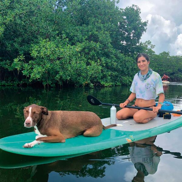 Pet friendly Kayak - paddle board - Image 5