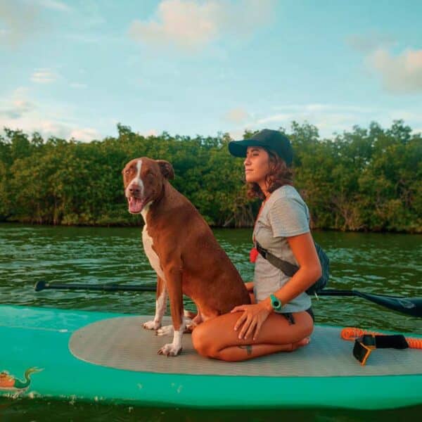 Pet friendly Kayak - paddle board - Image 4