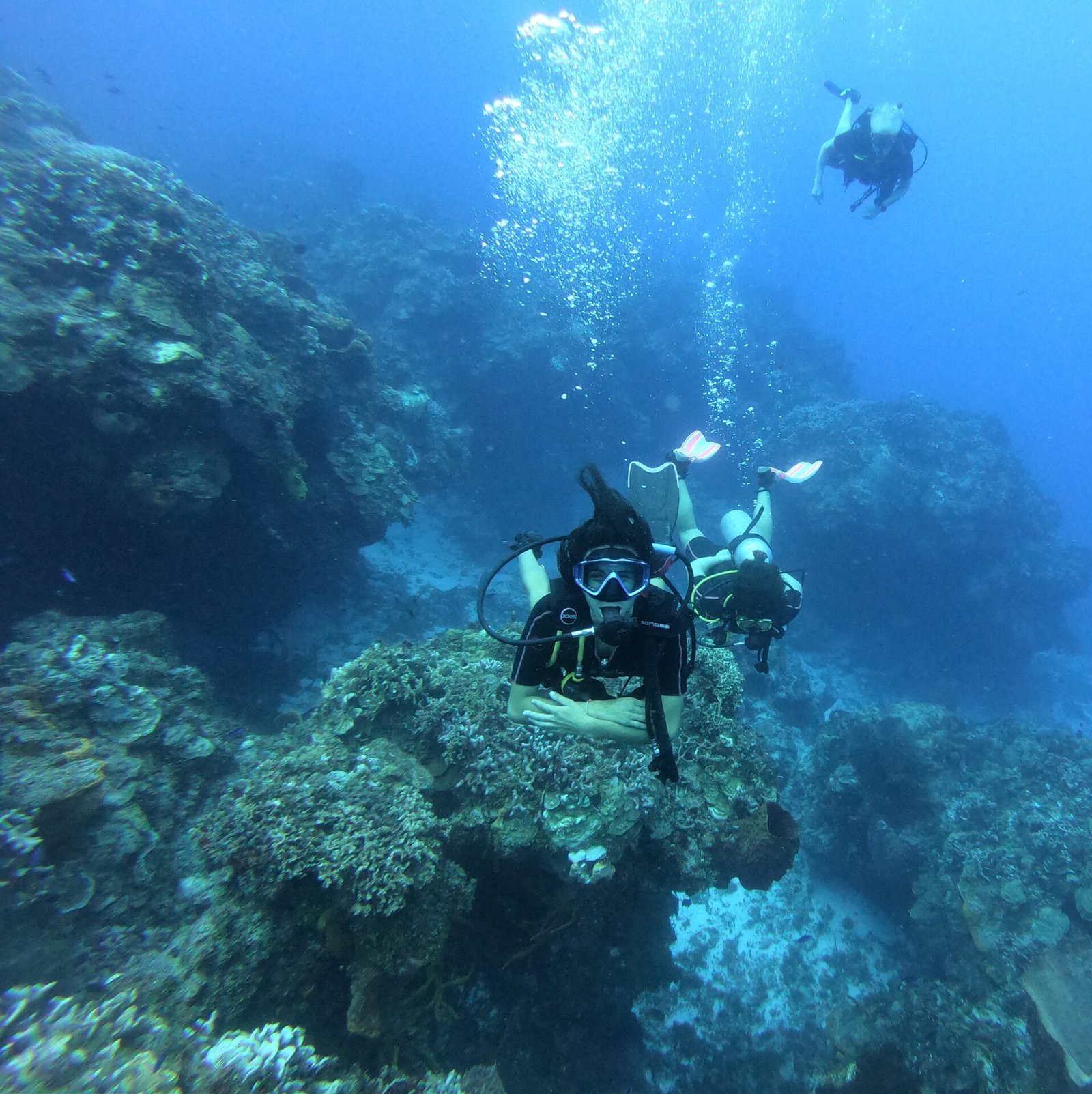 Scuba Diving in Cozumel – Certified divers - HIGHLIFE MEXICO - TOURS